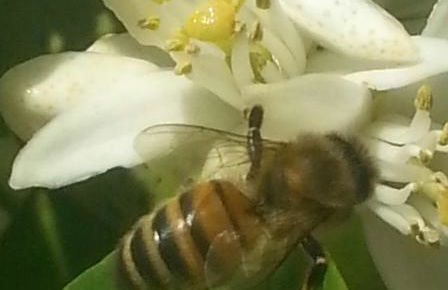 Agriturismo Fioredizucca - Foto 19