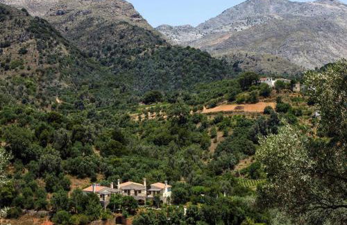 Romantic Holiday Home in Drosia - Photo 10