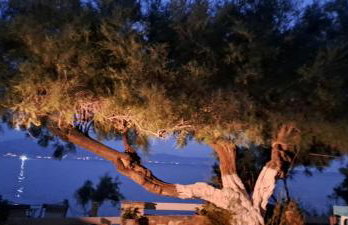 Dinas Inn - Photo 46