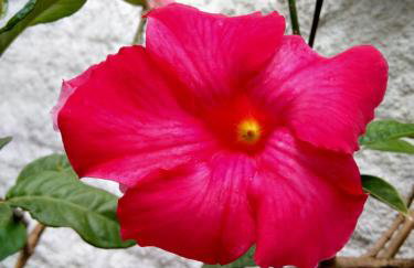 O Pouso Condomínio - Foto 74