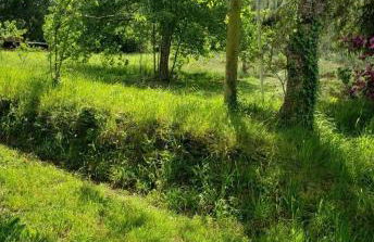 Casa de Nuna- calefacción, naturaleza, Netflix - Foto 59