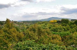 Pieve Suites - Photo 47