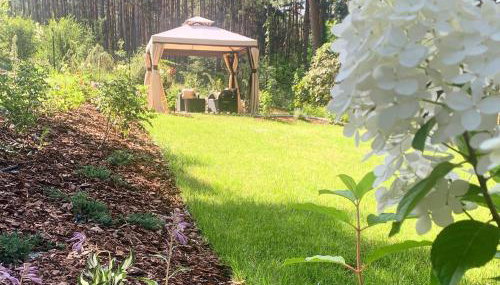 Uroczy mały domek na leśnej działce - Łosiówka - Foto 2, Garden