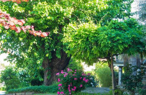 Alba Morus - Photo 35