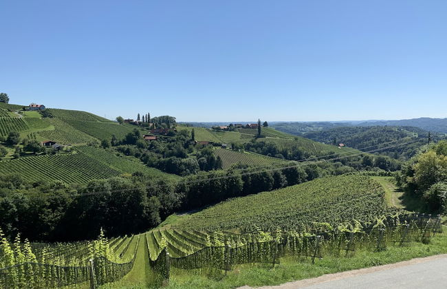 Apartment Weingartenblick - Photo 15