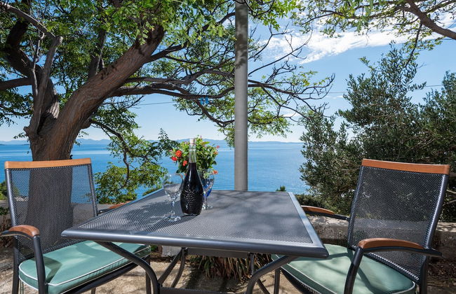 Country Home Dingač - Photo 21