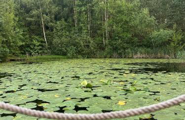 Pod Kogutem i Sową - Bio Wioska z domkami Premium w góralskim stylu VIP - Foto 70