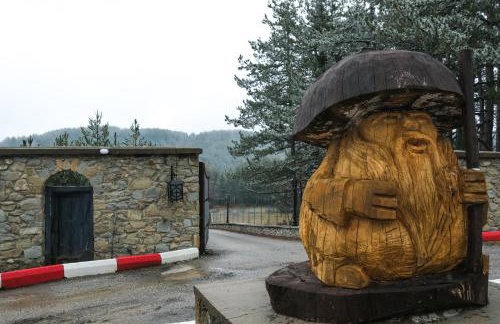 Pindos Resort - Foto 31