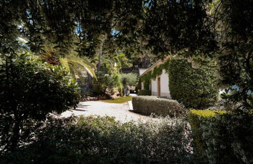 Alfabia Nou Agroturismo - Foto 54