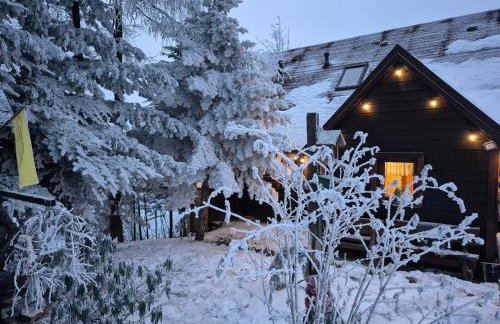 Beskidzka Ostoja - Foto 2