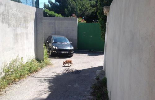 Suite sur la mer Marseille Corniche - Foto 27