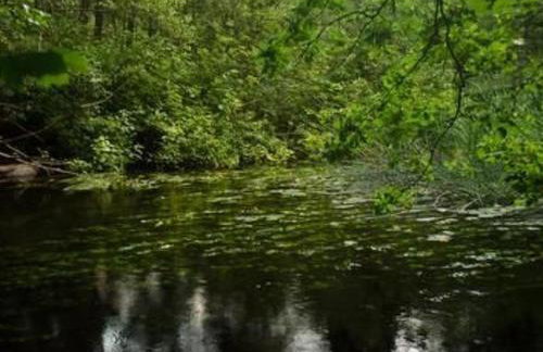 Apartment Turmwohnung by Interhome - Foto 20