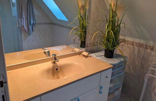 Gîte Le Grand Albizia - Foto 28