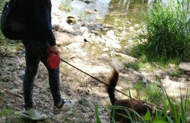 Ferienwohnungen Waldmann - Foto 15