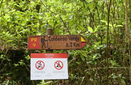 OurMadeira - SeaView Apartment - Foto 23