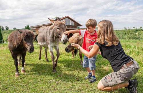 Obst- und Ferienhof Gomeringer - Foto 10