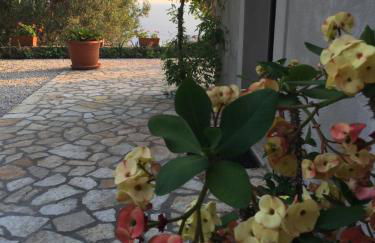 La Terrazza Del Duca - Foto 64