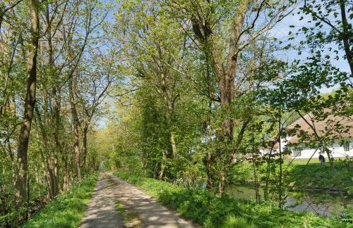 Pohns Warft - Foto 15