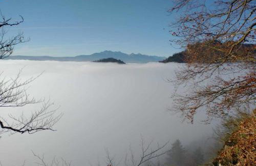 Chatka pod Lubaniem - Photo 41