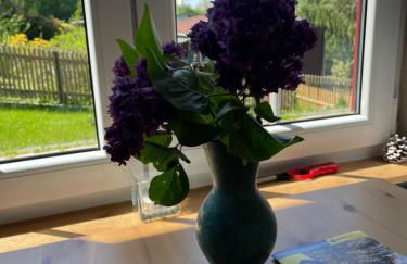 Lebensfreude - Foto 11