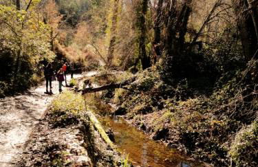 La Apañaora - Foto 30