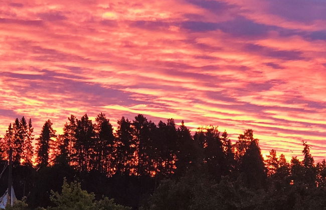 Liljekonvalj Cottage Overlooking the River Sauna - Foto 35