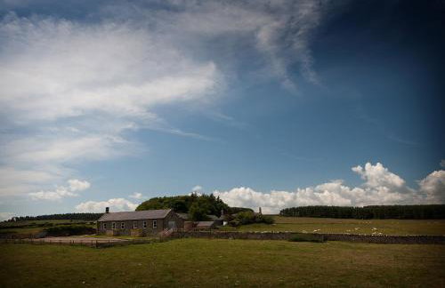 Outlook a Wandylaw Cottage now what a view - Foto 22