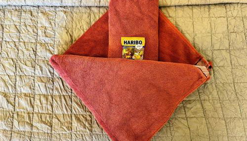 Pension am Plan - Foto 3, towels