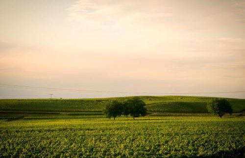 Ferienwohnen im Ziegelfeld - Foto 22