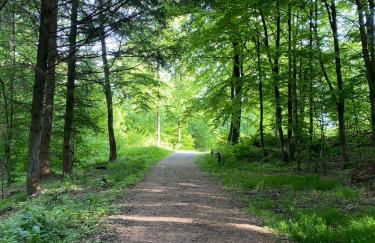 Schöne Ferienwohnung mit Waldblick in Dillenburg - Photo 16