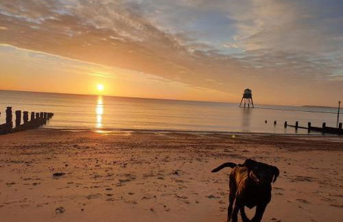 Wellie Stern - Foto 24