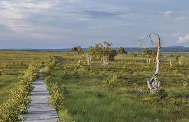 Spacious Stay With Terrace - Foto 35