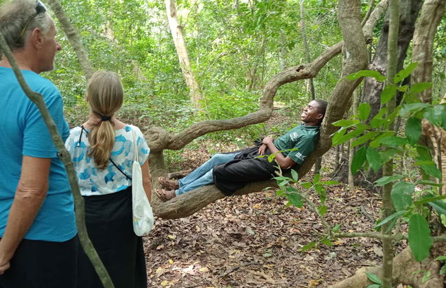 Tour por el bosque Kaya Kinondo - Foto 4