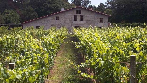 Tour in Tui - Foto 2