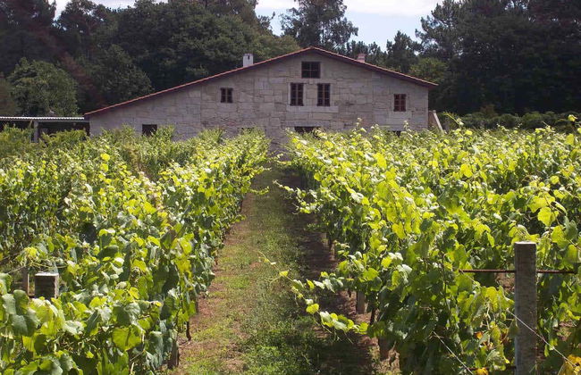 Visite de la cave Corisca - Photo 2