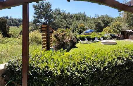 Green Heaven - Foto 18