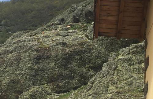 El Invernal de Picos - Photo 51