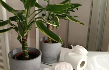 Lake Como PORTO VECCHIO - Charming Lakefront Apartment in the Heart of Domaso - Foto 22