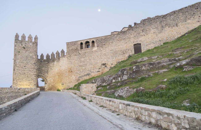 Visita guiada por el Castillo de Sabiote - Foto 2