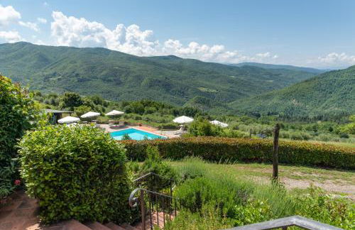 Universal Harmony - Usignolo - Foto 33