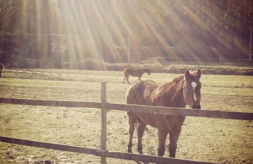 Agriturismo Campo al Sole - Foto 50