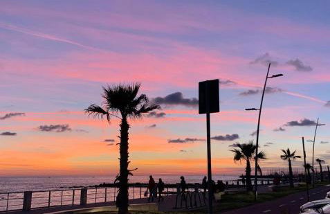 casa dell'artista - Photo 41