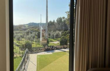 Quintinha Silvestre - Foto 50