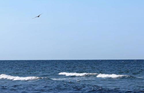 Möve Aba Bungalow 67 - Foto 31