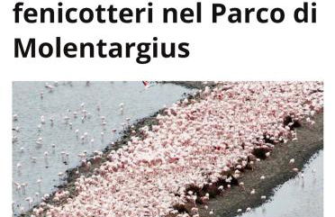 Trilocale Margine Rosso - Foto 59