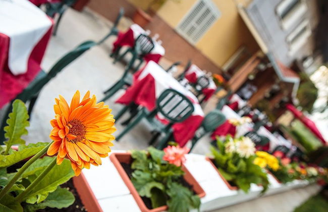 Hotel Residence Eden - Foto 52