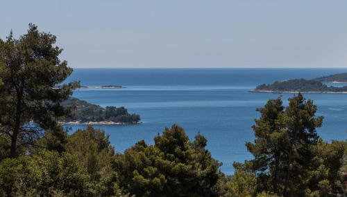 Apartman MIRIS BORA - Photo 5