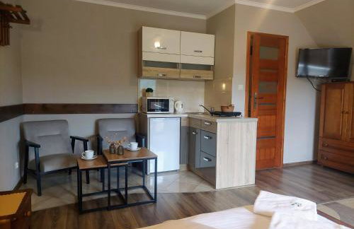 Willa Przekop - apartamenty - Foto 41