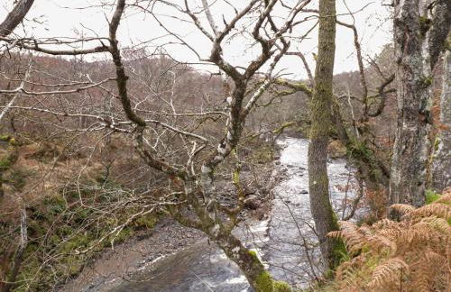 Riverbank House - Foto 32