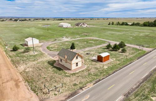 Home on the Plains - Free Range Cattle - Foto 21